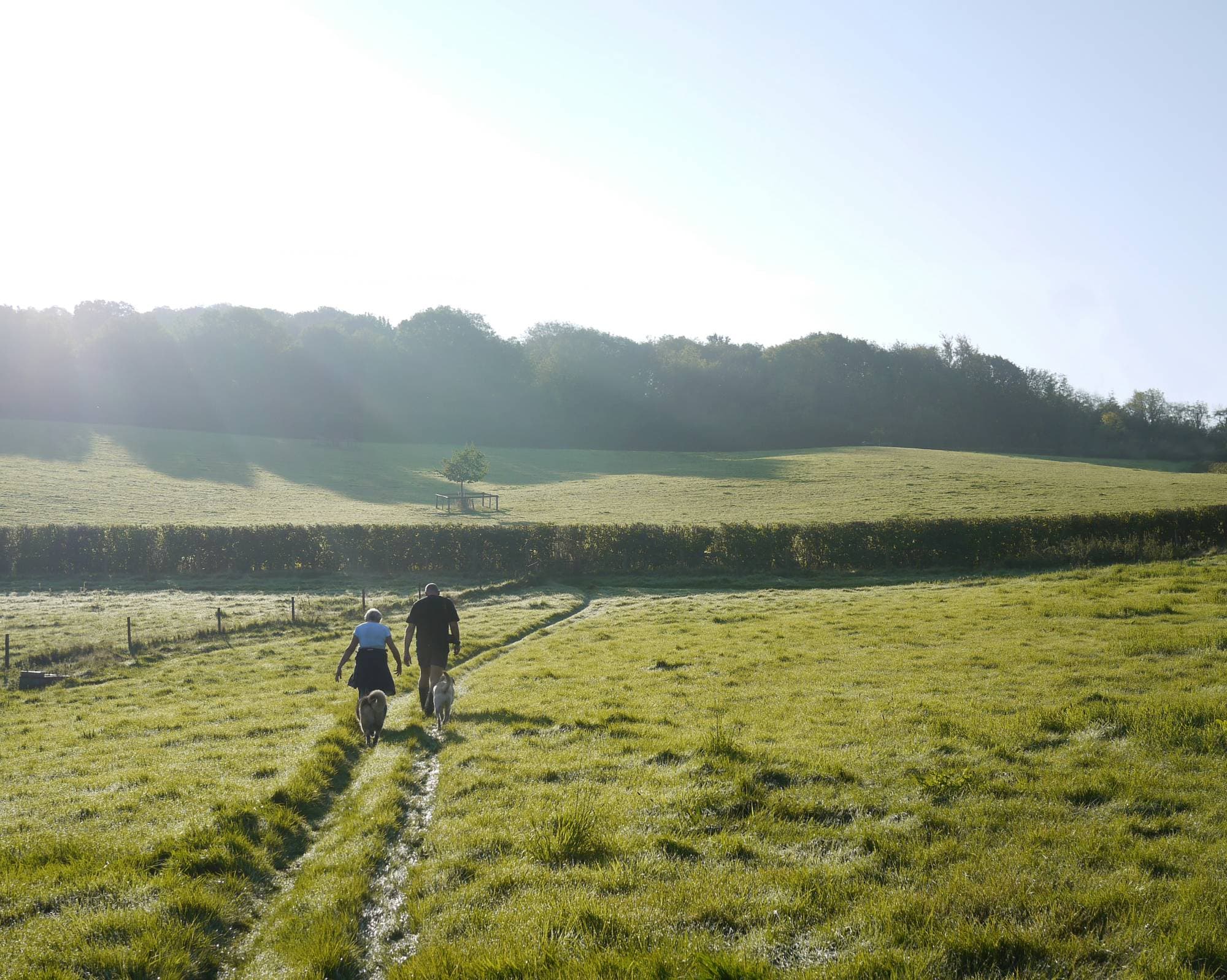 A couple walking their dogs across a Hampshire field in early morning light